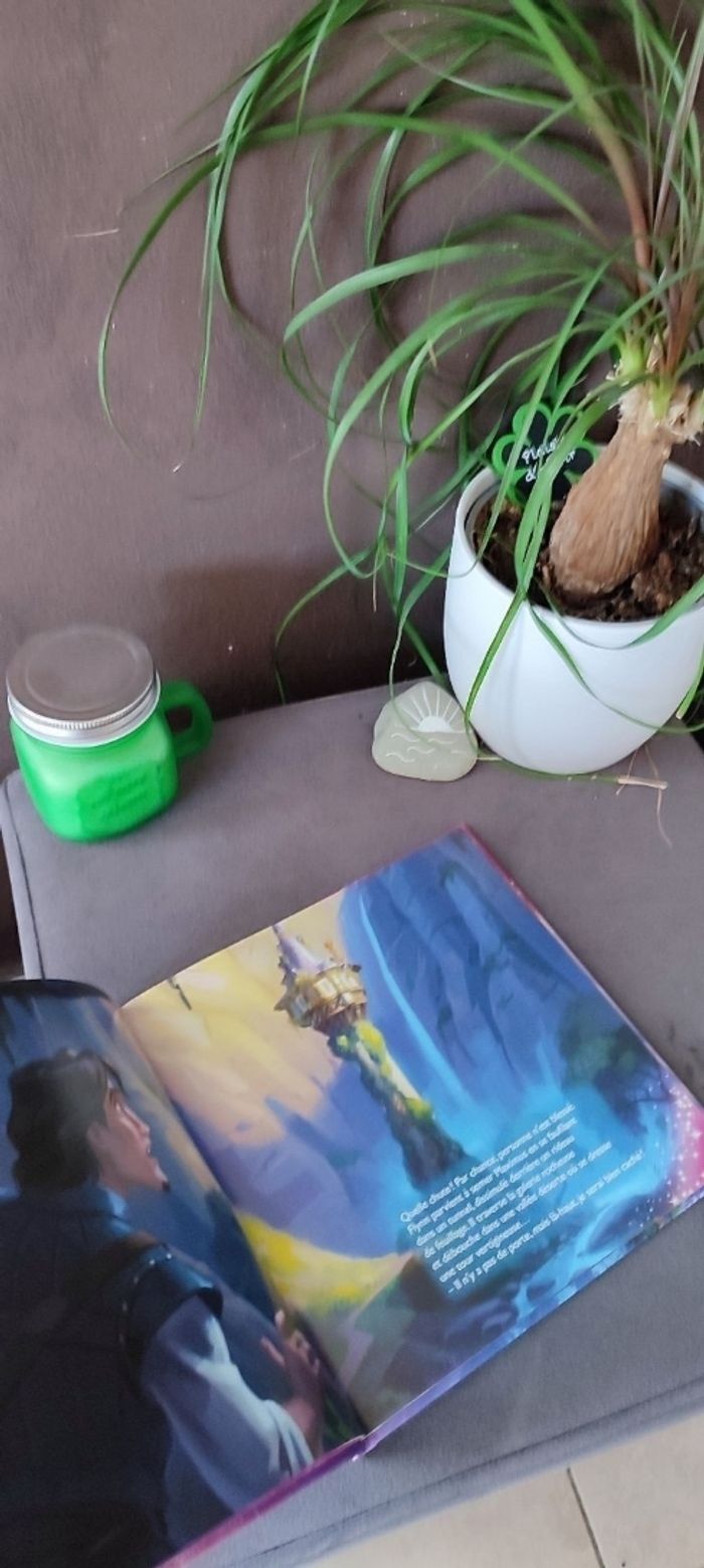 Livre Raiponce - photo numéro 2