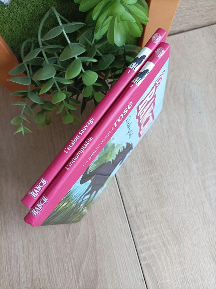 Lot 2 livres enfants - Le ranch - n° 1 et 3 - photo numéro 2