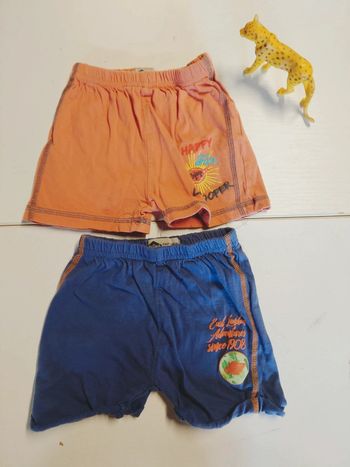 Lot 2 shorts Lee Cooper 12mois
