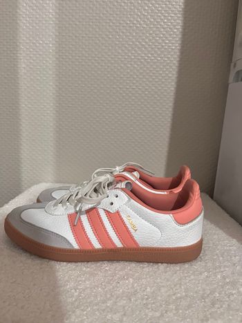 Samba Rose