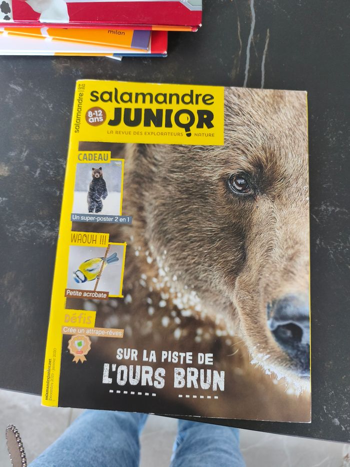 Salamandre junior - photo numéro 2