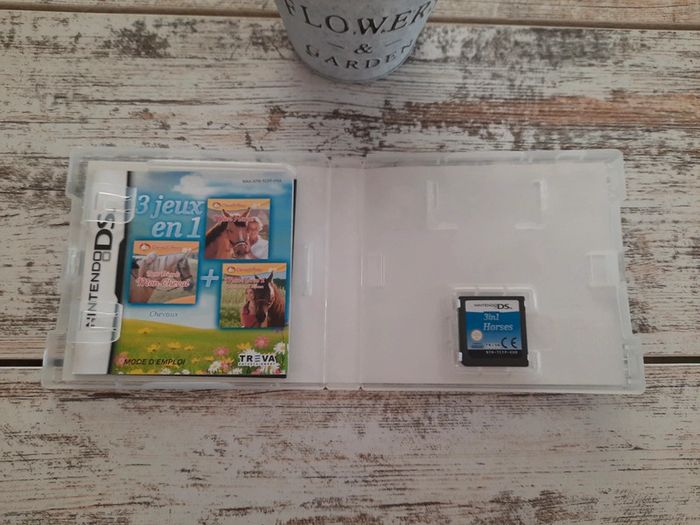 3 jeux en 1 Ds cheval - photo numéro 5