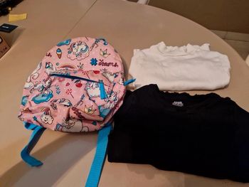 Lot de pulls et sac🎒