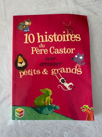 Livre 10 histoires du père Castor