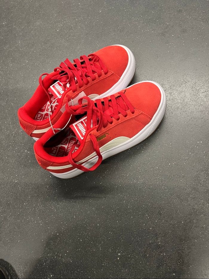 Basket puma