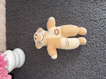 Doudou chat