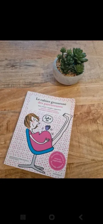 Le cahier de grossesse des paresseuses