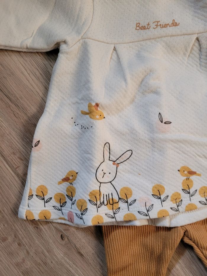 Ensemble lapin - photo numéro 2