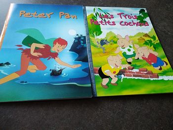 Lot de 2 livres illustrés