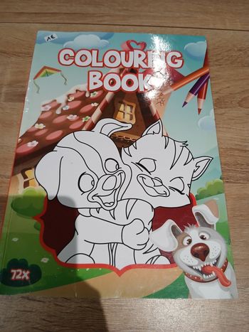 Colouring book animaux cahier de coloriage