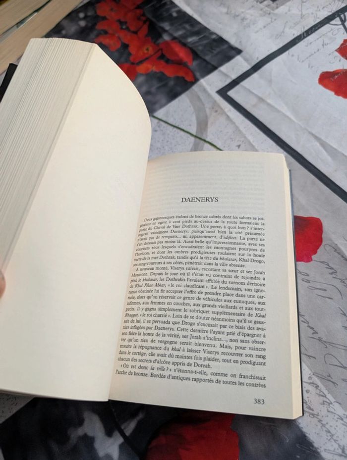 Le trône de fer - photo numéro 6