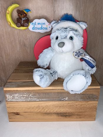 HD125 doudou chien 🐕 histoire d’ours