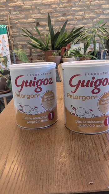 Lait Guigoz Pelargon 1er âge