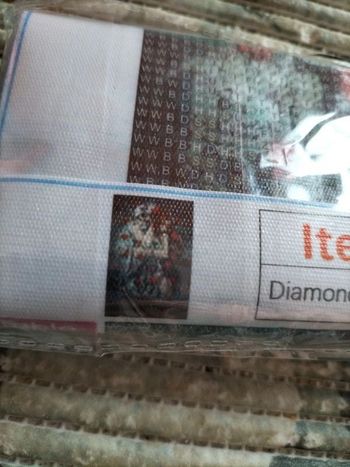 🎨Diamond Painting - Couple de Squelettes🎨