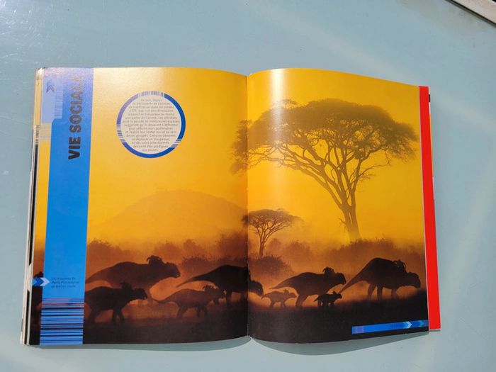 Livre Dokéo+ Réalité Augmentée : Les Dinosaures en action - photo numéro 7