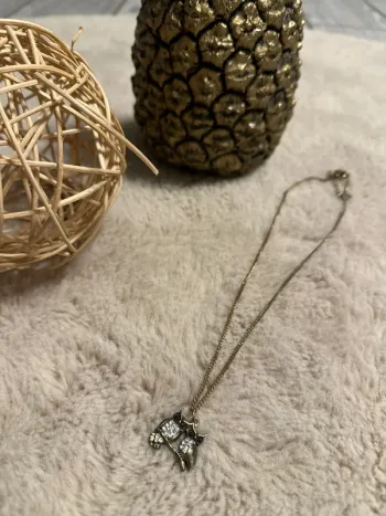 Collier chouettes hiboux Claire’s
