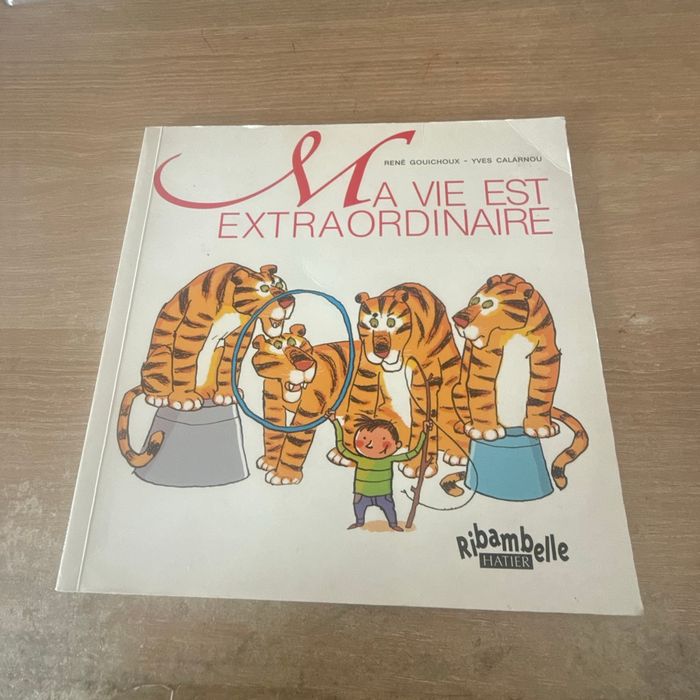 Livre «Ma vie est extraordinaire»