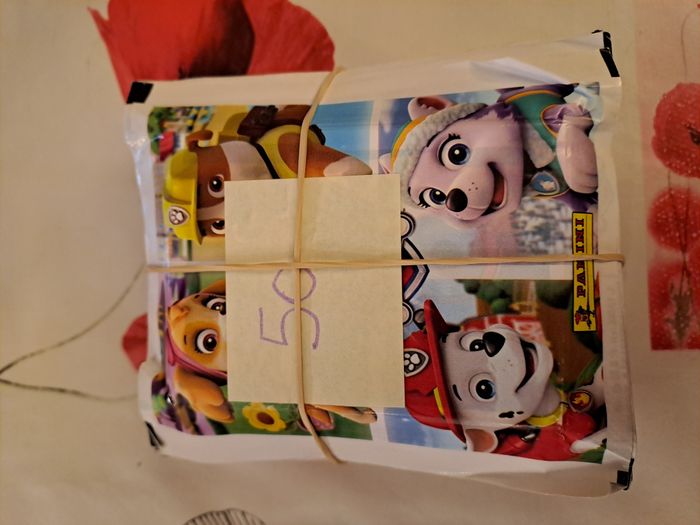 250 Stickers Pat patrouille Une année d'aventures panini