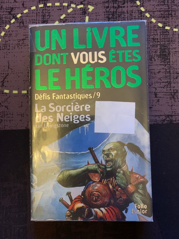 Un livre dont vous êtes le héros - photo numéro 1