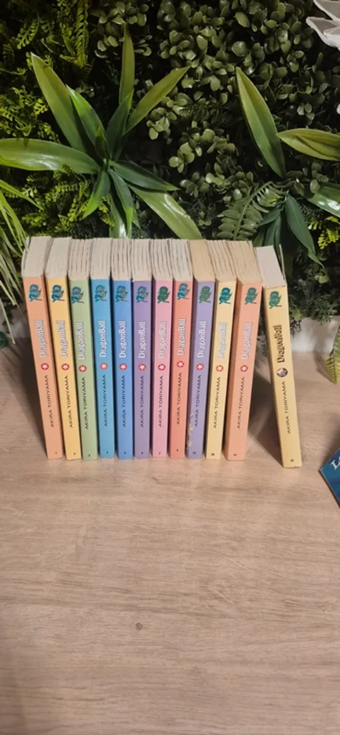 Livre dragon ball - photo numéro 2