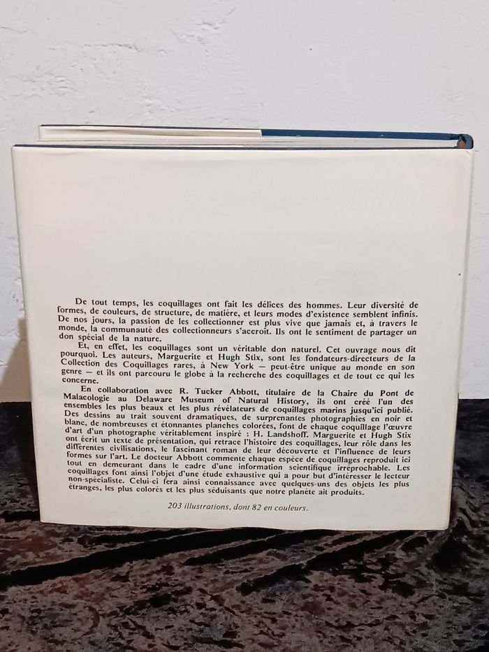 Les coquillages - photo numéro 2