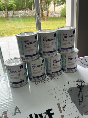 Gallia pepticate 2ème âge