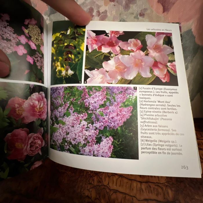 Les fleurs 1001 photos - photo numéro 4