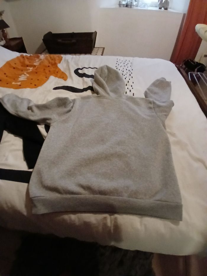 Lot de 2 sweat a capuche - photo numéro 4