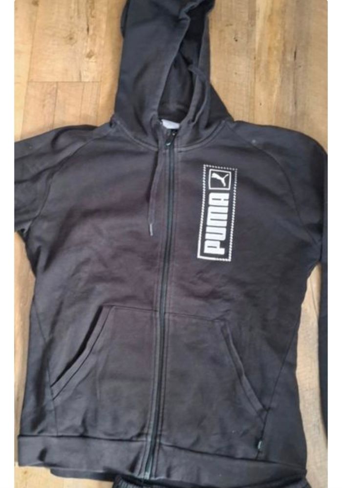 Jogging puma - photo numéro 2