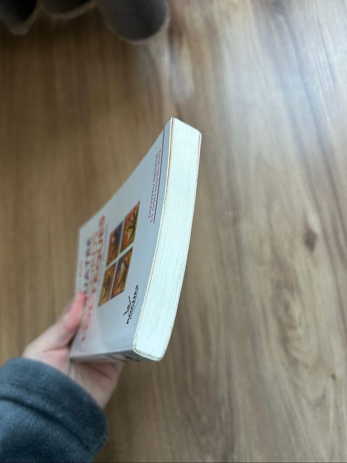 Livre de Don Miguel Ruiz «Les quatre accords toltèques» Poches Jouvence - photo numéro 8