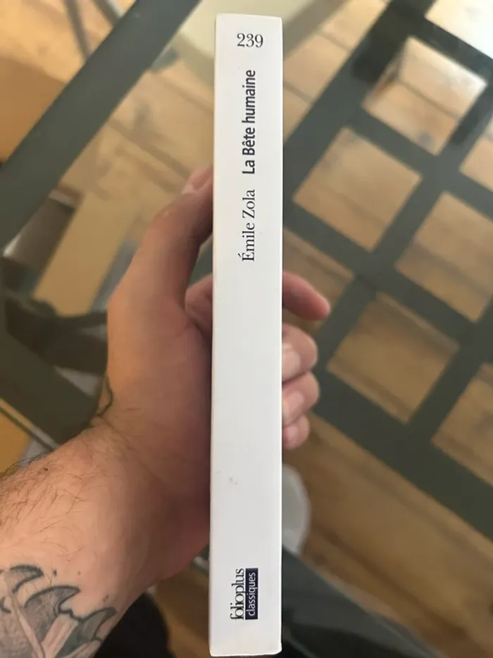 La bête humaine, Zola - photo numéro 3