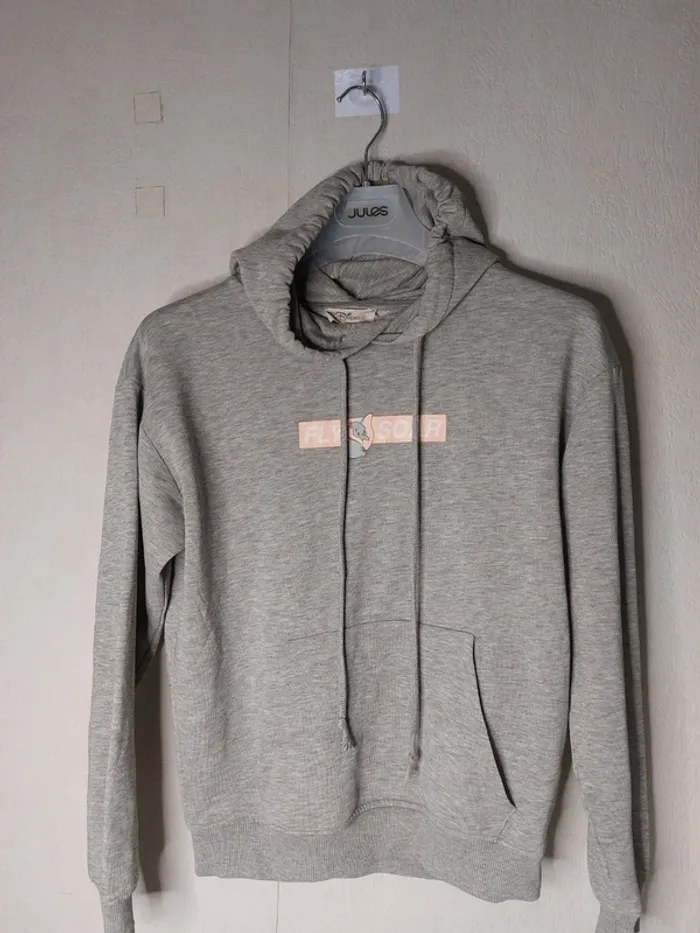 Sweat-shirt avec capuche gris " Disney"