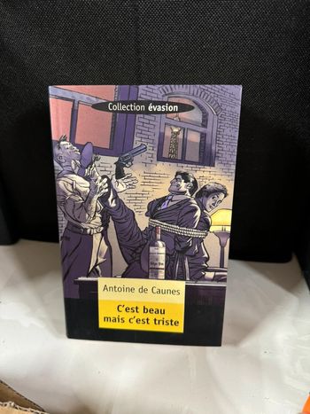 livre C'est beau mais c'est triste