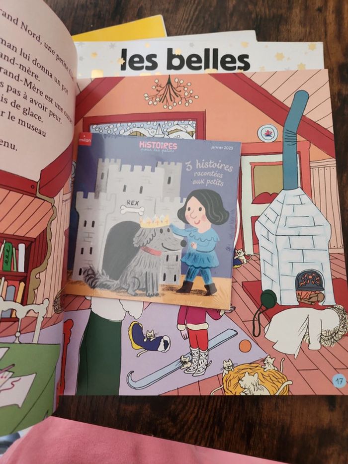 Lot de 5 livres / magazines - photo numéro 7
