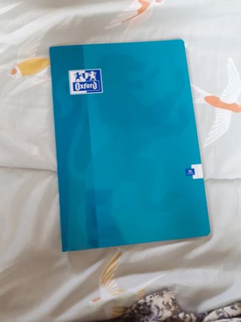Lot de 2 Cahiers oxford A4