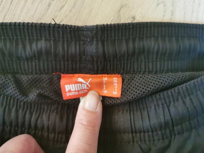 Short puma - photo numéro 3