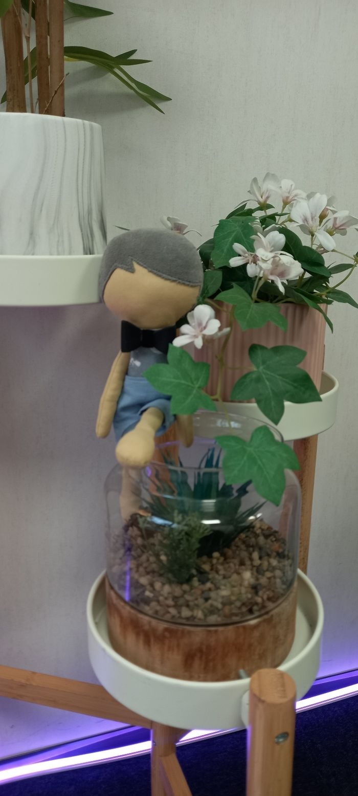 Doudou Bio  Garçon – Crée et Dessine Tes Émotions - Poupée Éducative - photo numéro 4