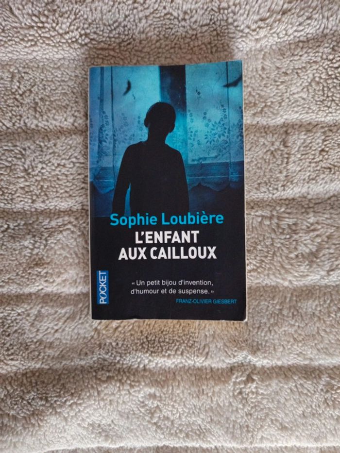 L'enfant aux cailloux de Sophie Loubière