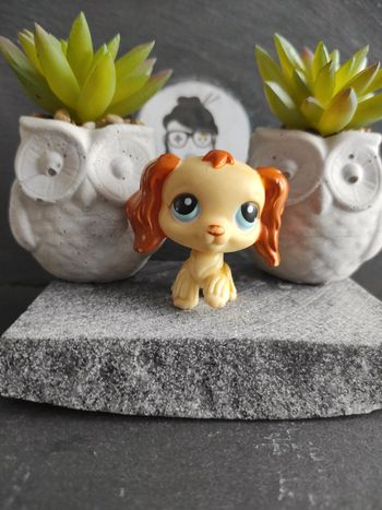 Littlest Petshop LPS chien epagneul spaniel 298 hasbro dog #geektradelpschien