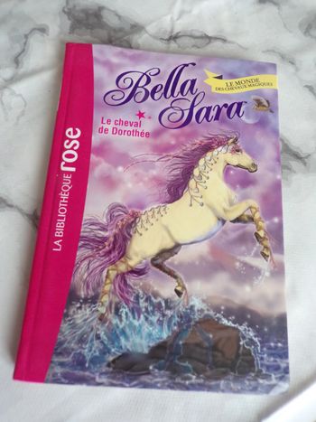 Livre Le  cheval de Dorothée La bibliothéque rose