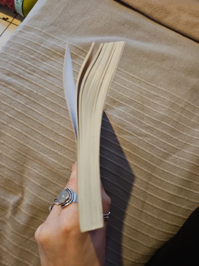 Livre Dîners faciles entre amis - photo numéro 5