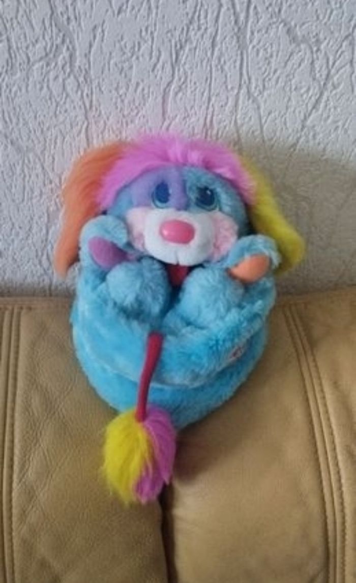 Popples collection z'animaux chien Bleu
