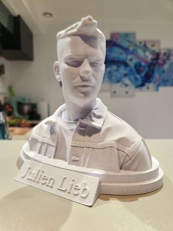 🎶 Star Académie – Julien Lieb – Buste collector – Figurine décorative