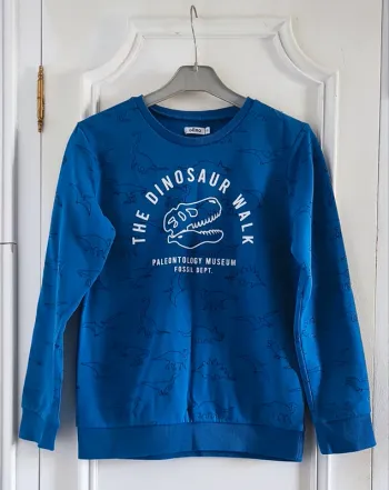 Sweat garçon 12 ans
