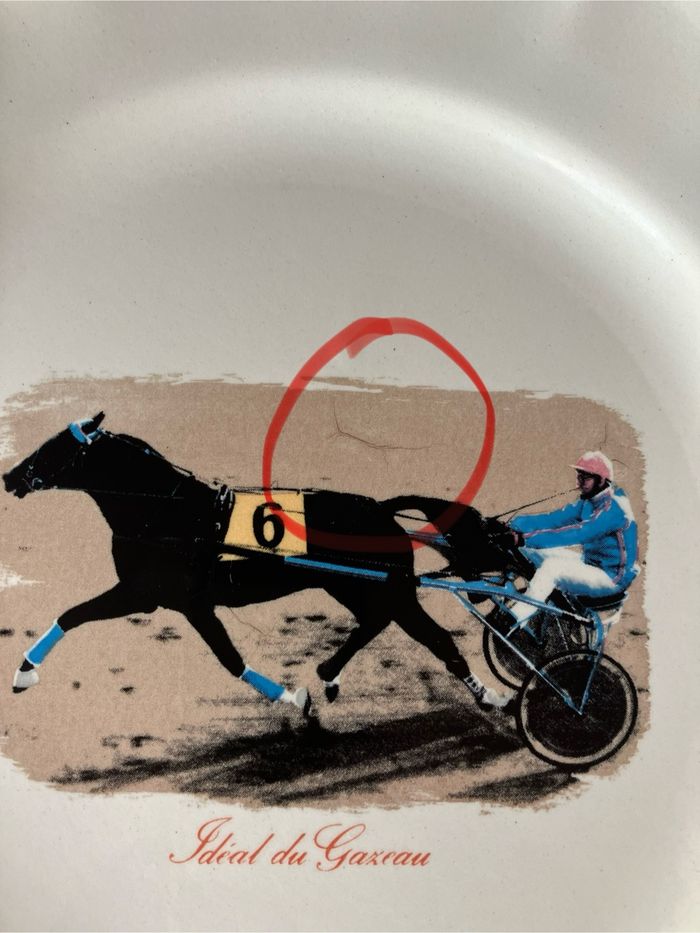 Bel ensemble de 6 assiettes plates-Idéal du Gazeau - photo numéro 8
