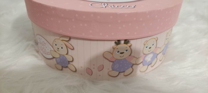 Boite naissance écureuil éveil - photo numéro 6