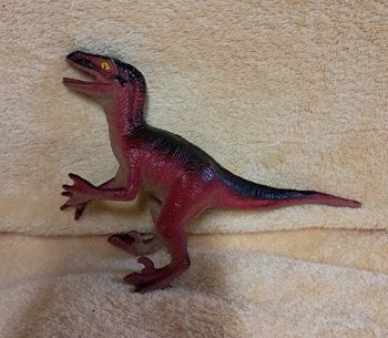 Dinosaure vélociraptor