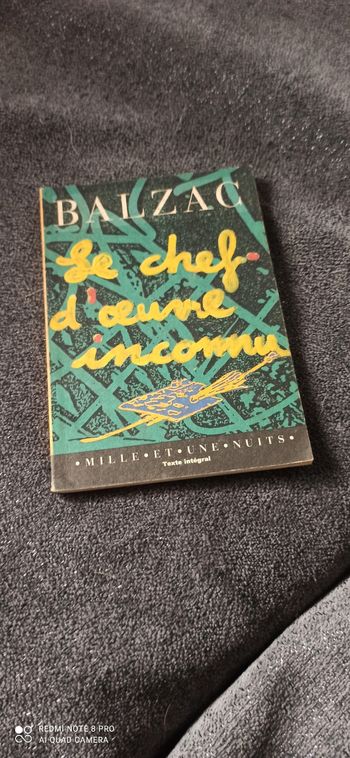 Livre le chef d oeuvre inconnu balzac