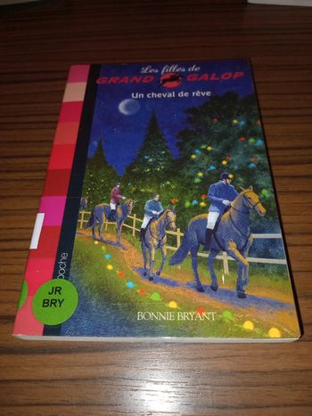 Les Filles de Grand Galop : un cheval de rêve