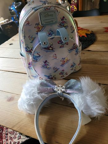 Disney sport d'hiver
